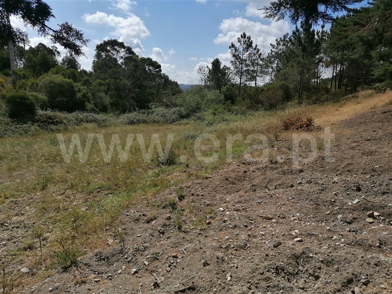 Quinta T2 Aljezur, Alfambras - 1329621 - 5