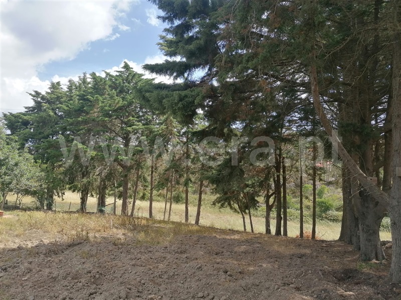 Quinta T2 Aljezur, Alfambras - 1329621 - 8