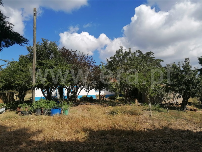 Quinta T2 Aljezur, Alfambras - 1329621 - 9