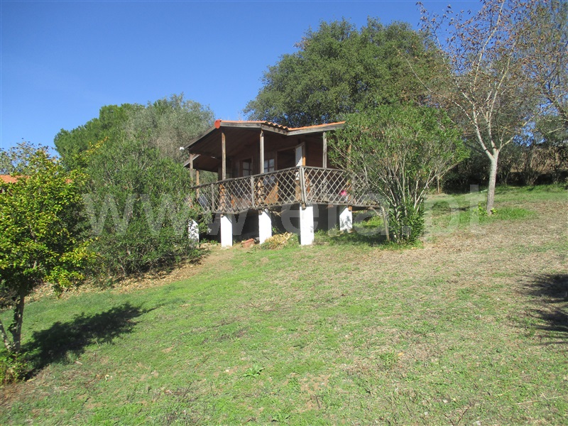 Quinta T3 Alter do Chão, Seda - 1278027 - 6