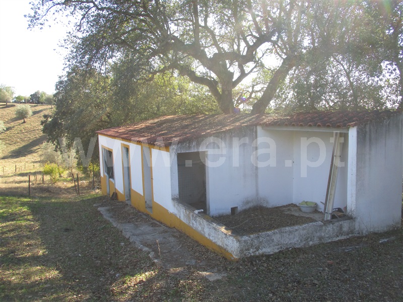 Quinta T3 Alter do Chão, Seda - 1278027 - 26