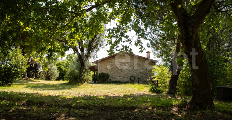 Quinta T3 Arcos de Valdevez, Couto - 944039 - 19