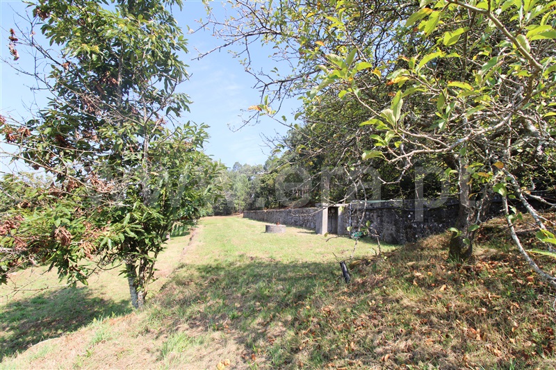 Quinta T3 com Grande Barcelos, Remelhe - 1249735 - 9