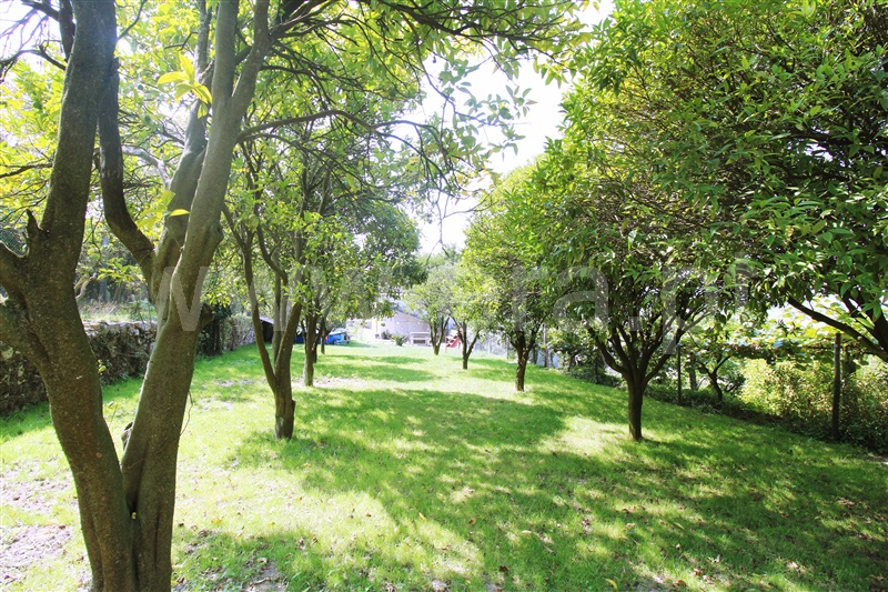 Quinta T3 com Grande Barcelos, Remelhe - 1249735 - 13