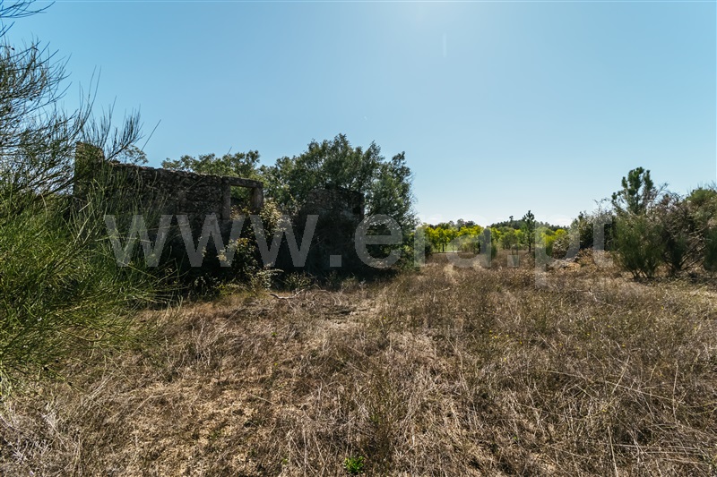 Quinta T3 com Grande Belmonte, Inguias - 1464343 - 42