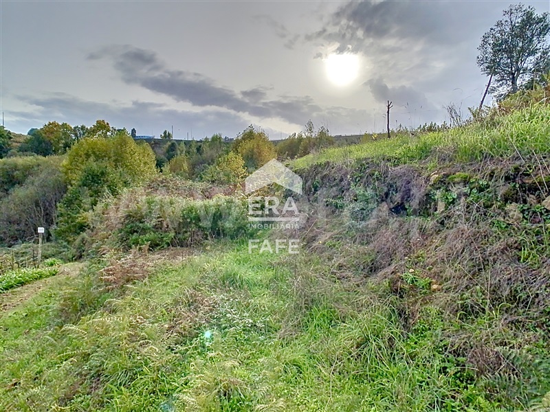 Quinta T3 Cabeceiras de Basto, Cabeceiras de Basto - 1359871 - 13