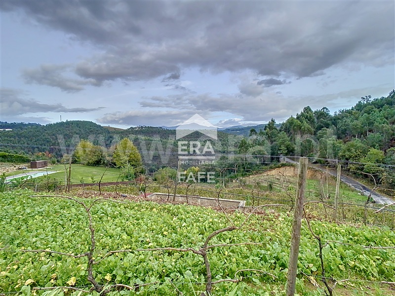 Quinta T3 Cabeceiras de Basto, Cabeceiras de Basto - 1359871 - 14