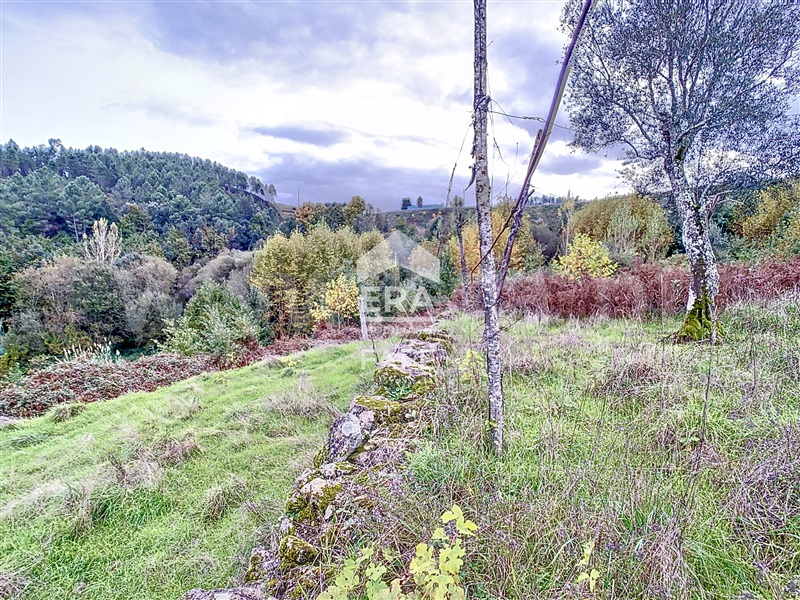 Quinta T3 Cabeceiras de Basto, Cabeceiras de Basto - 1359871 - 15