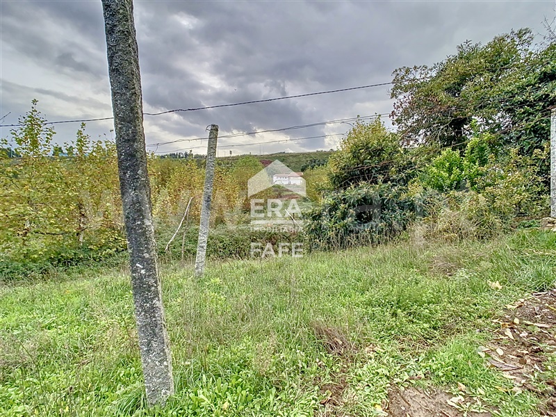 Quinta T3 Cabeceiras de Basto, Cabeceiras de Basto - 1359871 - 16