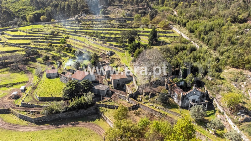 Quinta T3 / Caminha, Âncora