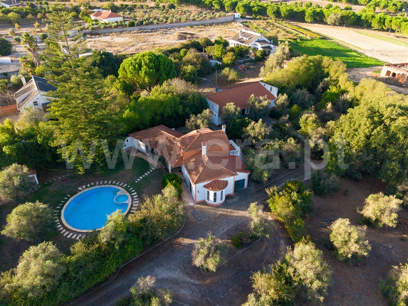 Quinta T3 / Cartaxo, Cartaxo e Vale da Pinta
