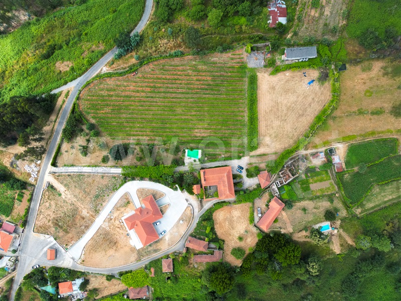 Quinta T3 Celorico de Basto, Arnóia - 1491306 - 4