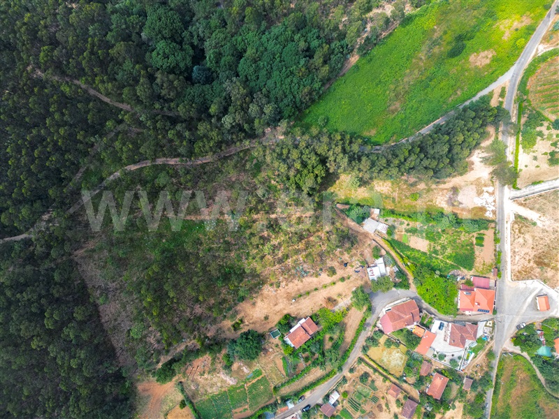Quinta T3 Celorico de Basto, Arnóia - 1491306 - 5
