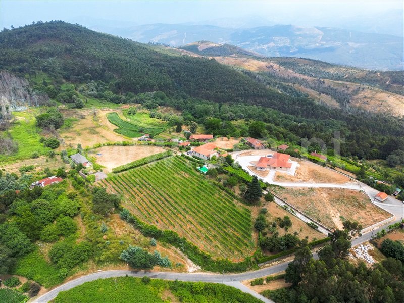 Quinta T3 Celorico de Basto, Arnóia - 1491306 - 6