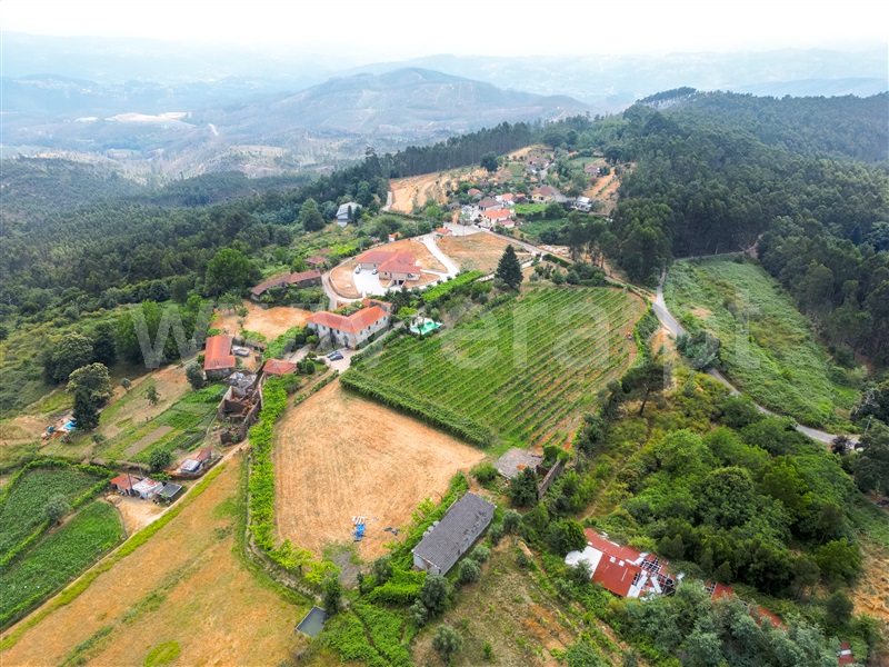 Quinta T3 Celorico de Basto, Arnóia - 1491306 - 8