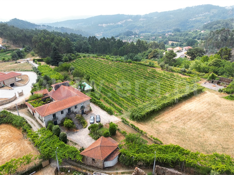 Quinta T3 Celorico de Basto, Arnóia - 1491306 - 9