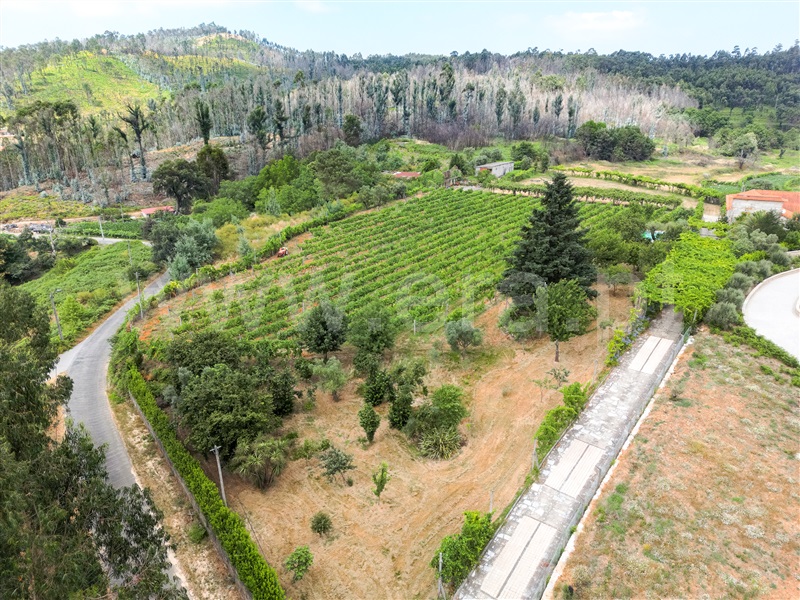 Quinta T3 Celorico de Basto, Arnóia - 1491306 - 11