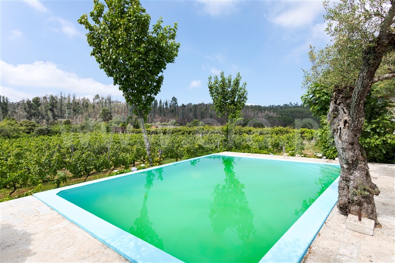 Quinta T3 Celorico de Basto, Arnóia - 1491306 - 18