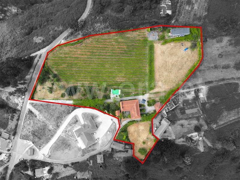 Quinta T3 Celorico de Basto, Arnóia - 1491306 - 41