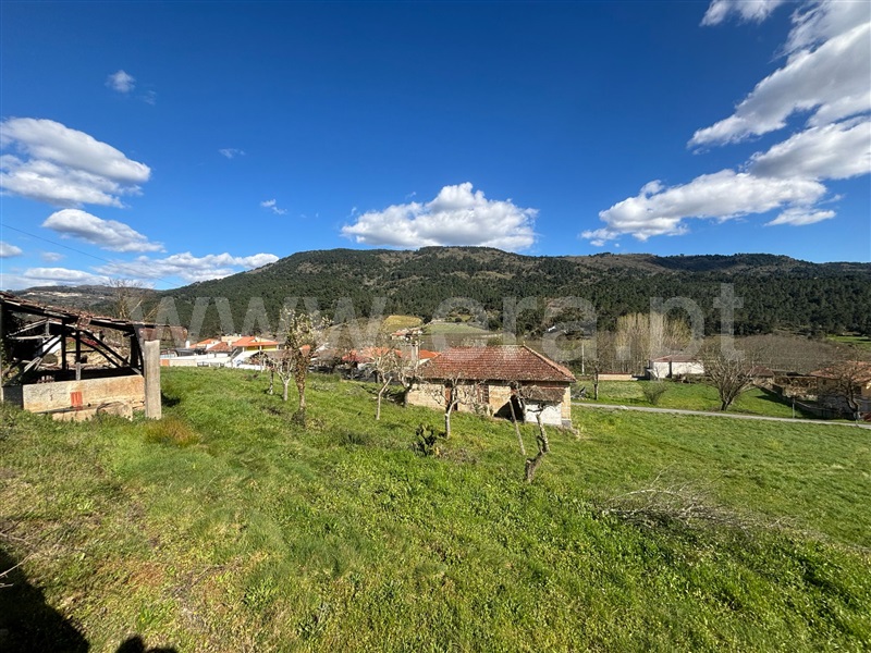 Quinta  Chaves, Loivos e Póvoa de Agrações - 1456060 - 7