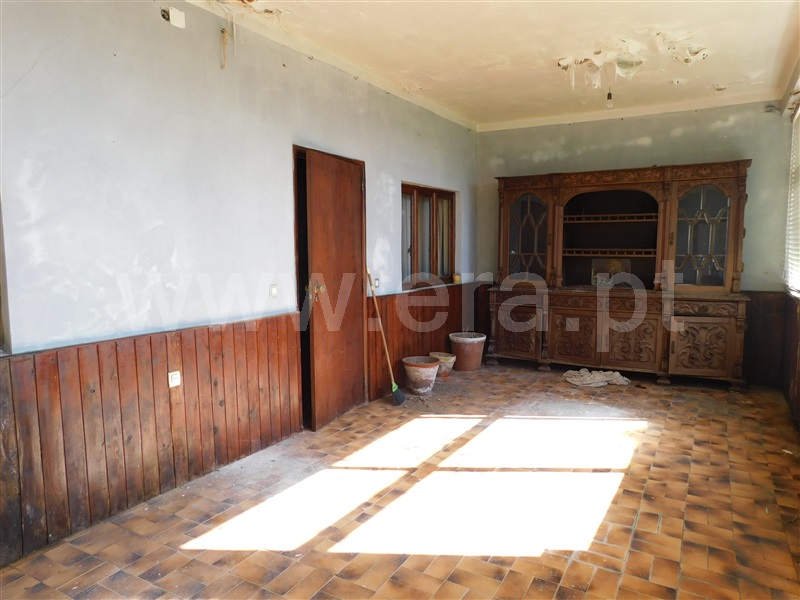 Quinta T5 Covilhã, Cantar - Galo - 1435165 - 37