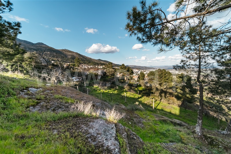 Quinta T3 Covilhã, Cantar - Galo - 1435165 - 73