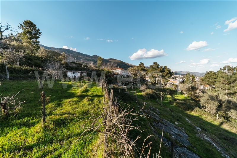 Quinta T3 Covilhã, Cantar - Galo - 1435165 - 75