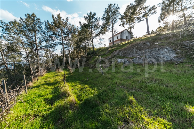 Quinta T3 / Covilhã, Cantar - Galo