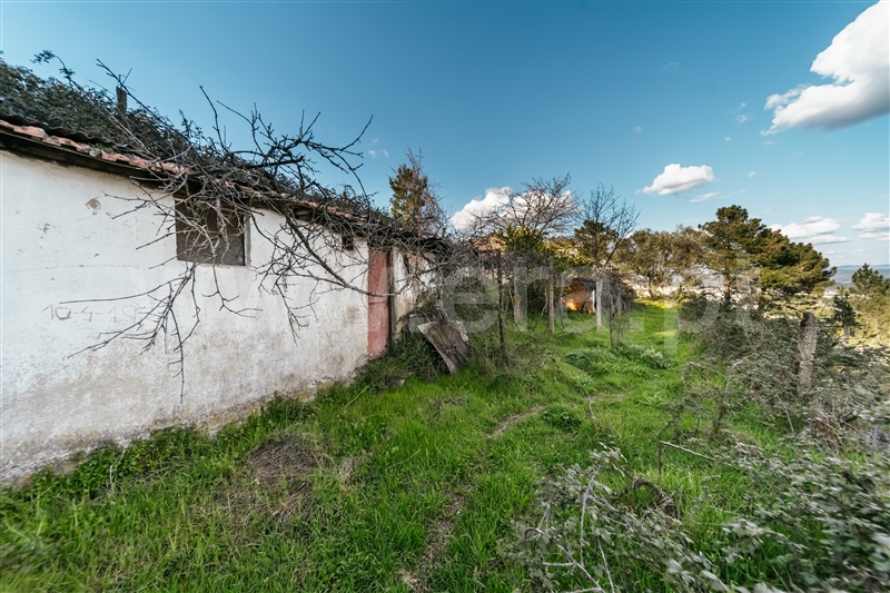 Quinta T3 Covilhã, Cantar - Galo - 1435165 - 77