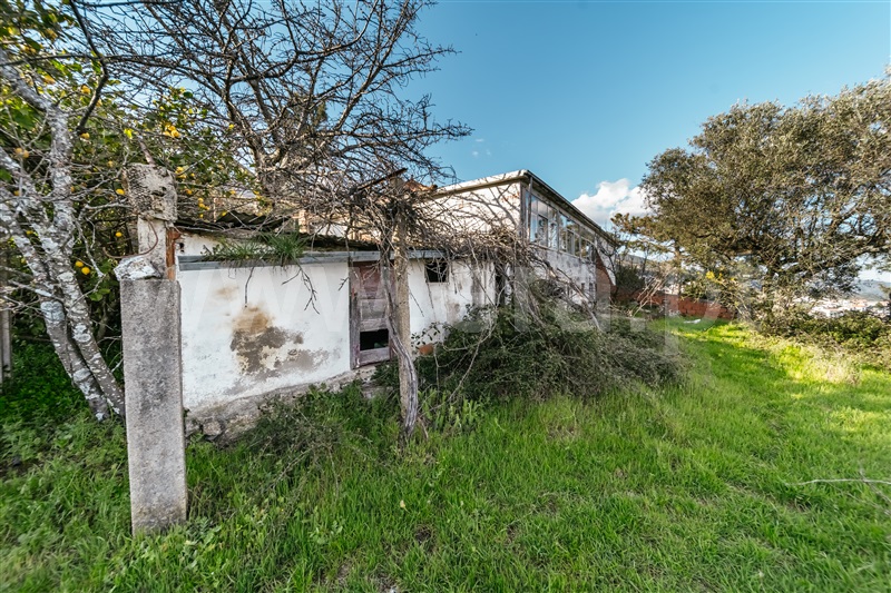 Quinta T3 Covilhã, Cantar - Galo - 1435165 - 78
