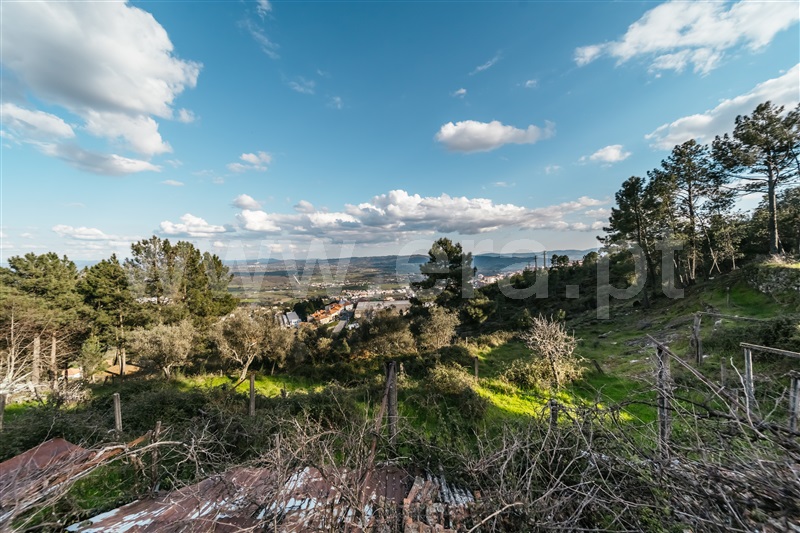 Quinta T3 Covilhã, Cantar - Galo - 1435165 - 79