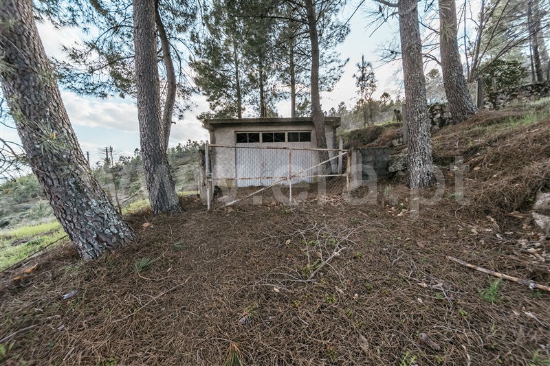 Quinta T3 Covilhã, Cantar - Galo - 1435165 - 87