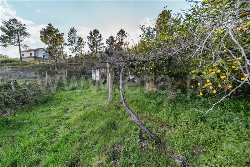 Quinta T3 Covilhã, Cantar - Galo - 1435165 - 88