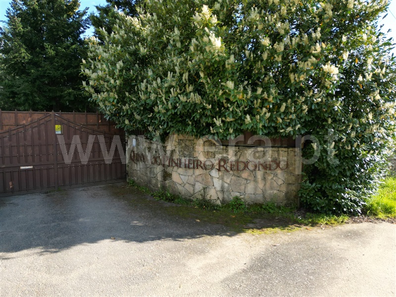 Quinta T3 Covilhã, Dominguiso - 1470749 - 7