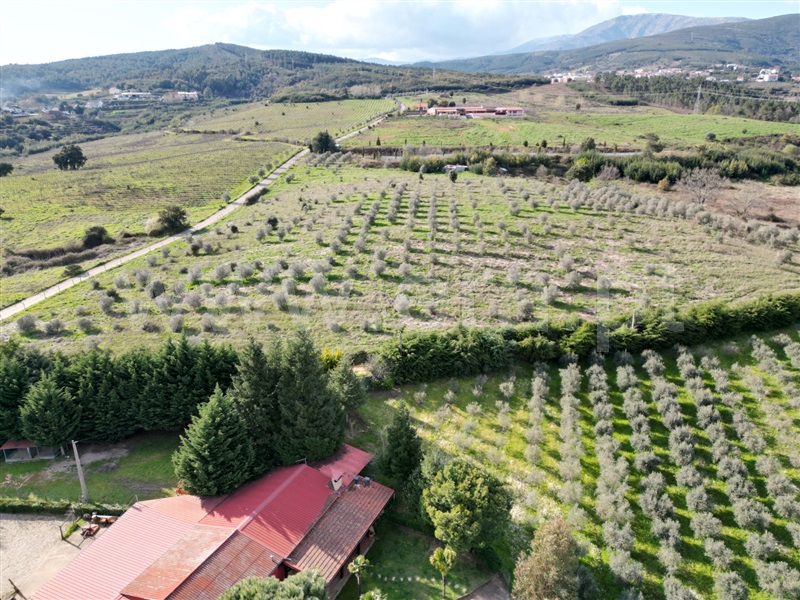 Quinta T3 Covilhã, Dominguiso - 1470749 - 11
