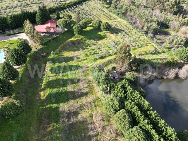 Quinta T3 Covilhã, Dominguiso - 1470749 - 12