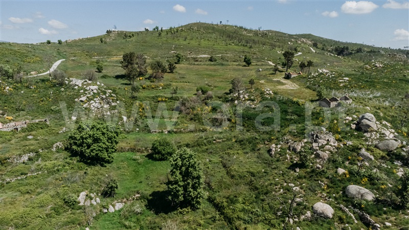 Quinta T3 Covilhã, Orjais - 947110 - 3