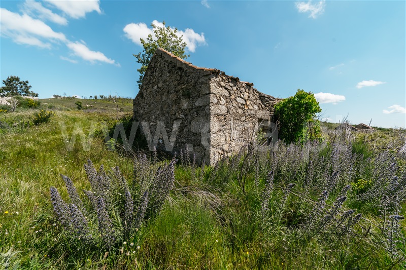 Quinta T3 Covilhã, Orjais - 947110 - 5