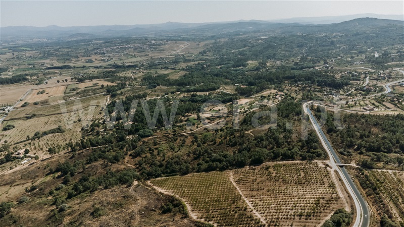 Quinta T3 Covilhã, Peraboa - 1422533 - 8