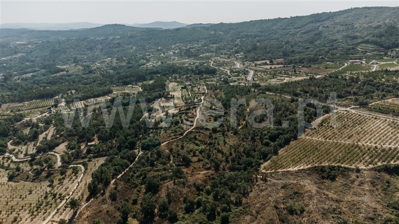 Quinta T3 Covilhã, Peraboa - 1422533 - 10