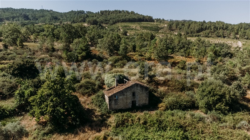 Quinta T3 Covilhã, Peraboa - 1422533 - 14