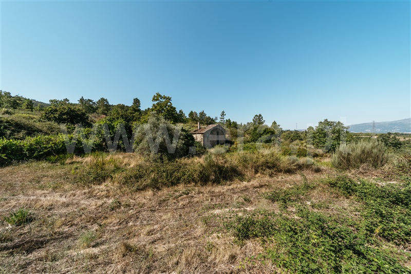 Quinta T3 Covilhã, Peraboa - 1422533 - 16