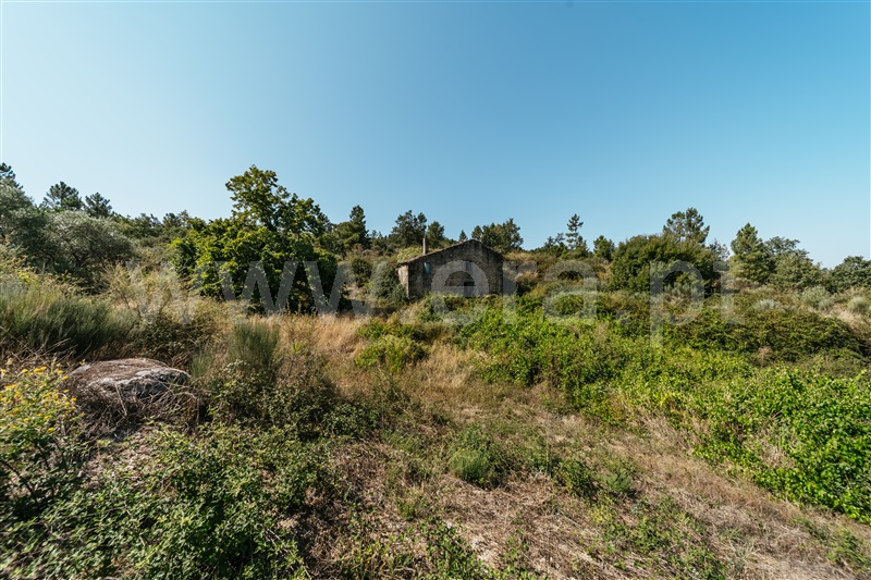 Quinta T3 Covilhã, Peraboa - 1422533 - 17