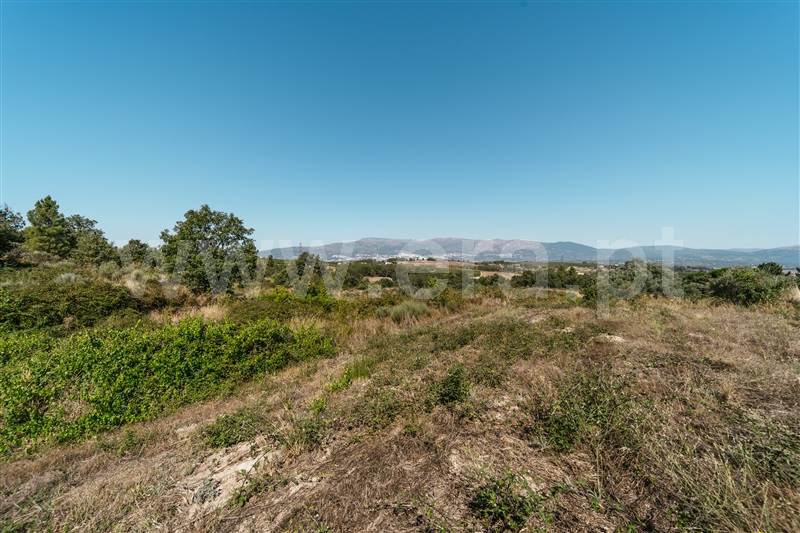 Quinta T3 Covilhã, Peraboa - 1422533 - 18