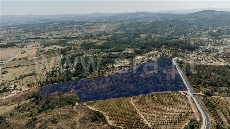 Quinta T3 Covilhã, Peraboa - 1422533 - 19