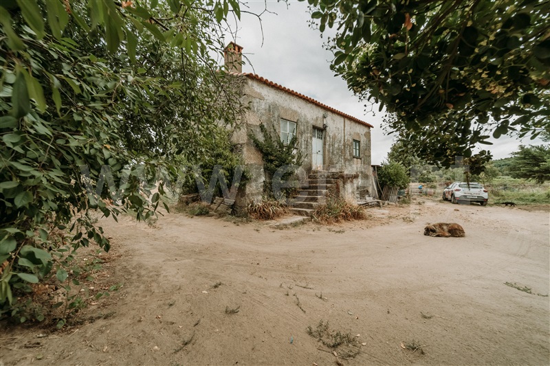 Quinta T3 Covilhã, Peraboa - 1493438 - 2