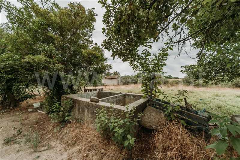 Quinta T3 Covilhã, Peraboa - 1493438 - 7