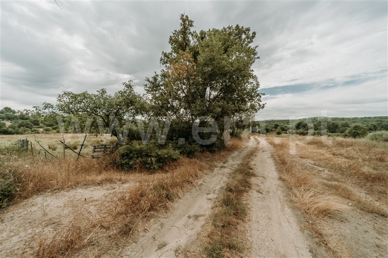 Quinta T3 Covilhã, Peraboa - 1493438 - 16