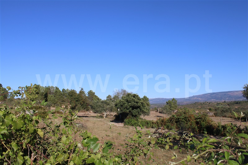 Quintinha T3 Fornos de Algodres, Algodres - 1480580 - 1