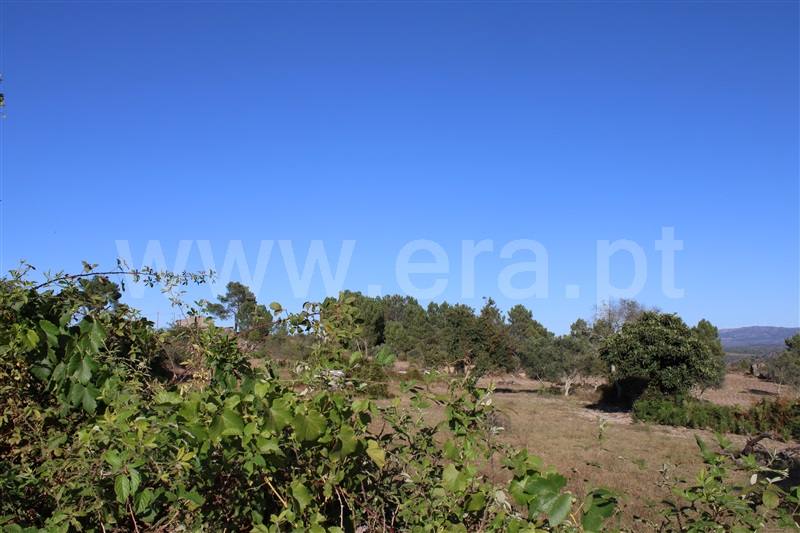 Quintinha T3 Fornos de Algodres, Algodres - 1480580 - 2